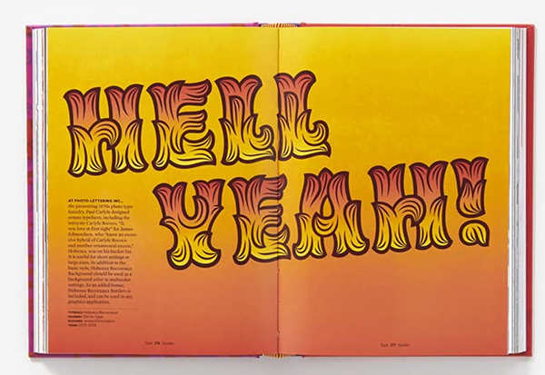 Бумажная книга «Type Speaks: A Lexicon of Expressive, Emotional, and Symbolic Typefaces», авторов Гейл Андерсон, Стивен Хеллер - фото №1