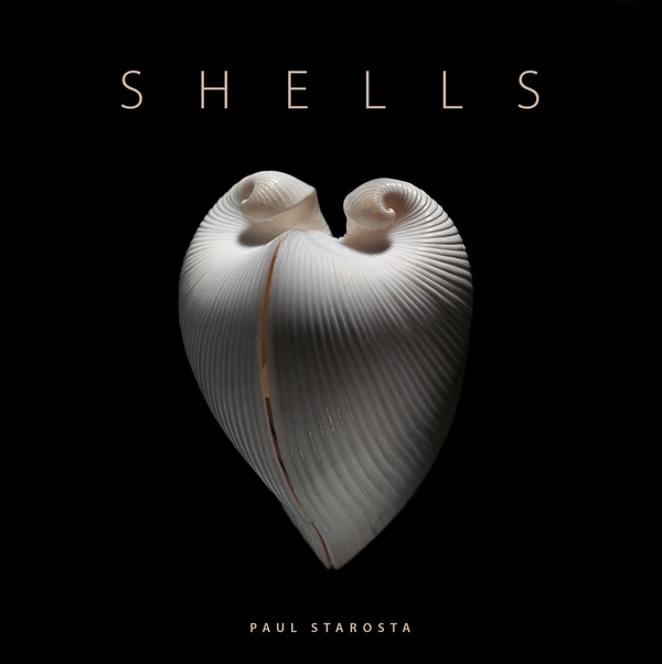 Паперова книга «Shells», автор Паоло Портогезі - фото №1