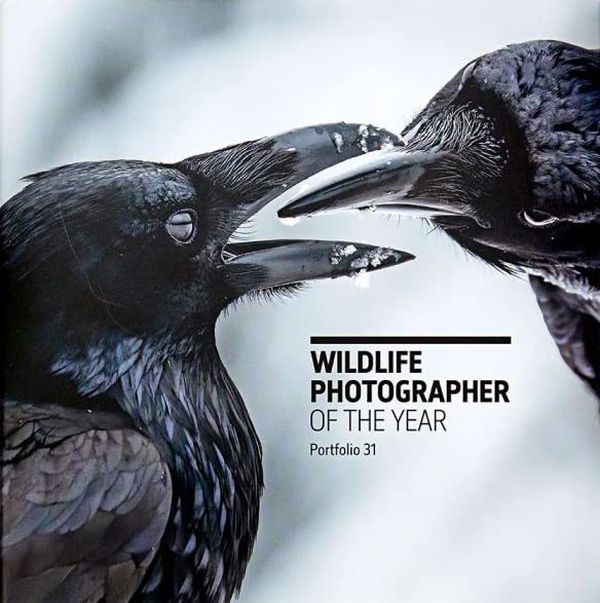 Бумажная книга «Wildlife Photographer of the Year. Portfolio 31 », автор Розамунд Кидман Кокс - фото №1