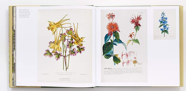Бумажная книга «The New York Botanical Garden», авторов Грегори Лонг, Тодд Форрест - фото №1