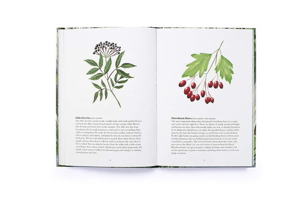 Паперова книга «100 Things to do in a Forest», автор Дженніфер Девіс - фото №1