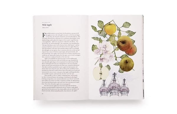 Паперова книга «Around the World in 80 Trees», автор Джонатан Дрорі - фото №1
