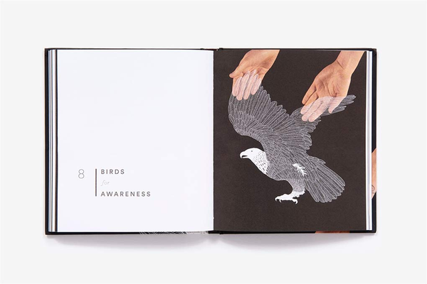 Бумажная книга «Brave Birds. Inspiration on the Wing», автор Мод Уайт - фото №1