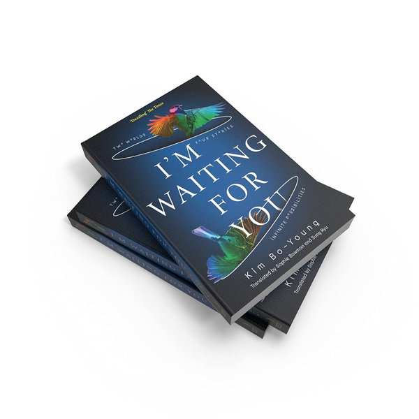 Паперова книга «I'm Waiting For You», автор Кім Бо-Янг - фото №1