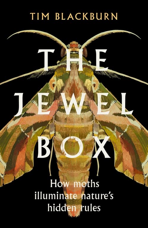 Бумажная книга «The Jewel Box», автор Тим Блэкберн - фото №1