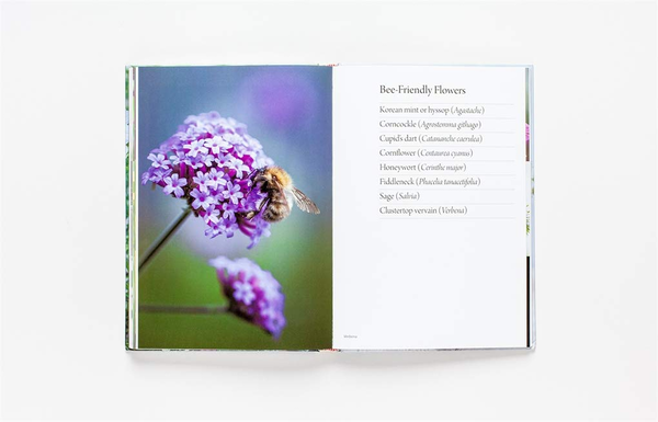 Бумажная книга «Flower Garden», автор Клэр Фостер - фото №1