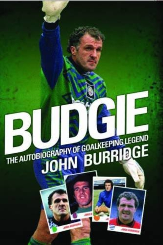 Паперова книга «Budgie», автор Джон Беррідж - фото №1
