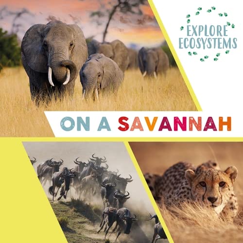 Паперова книга «Explore Ecosystems: On a Savannah», автор Сара Рідлі - фото №1
