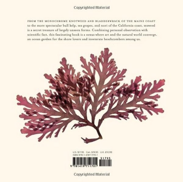 Бумажная книга «An Ocean Garden. The Secret Life of Seaweed», автор Джози Айслин - фото №1