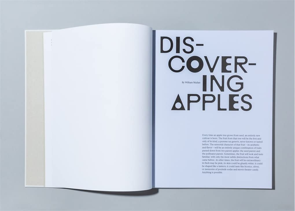 Бумажная книга «Odd Apples», автор Уильям Муллан - фото №1