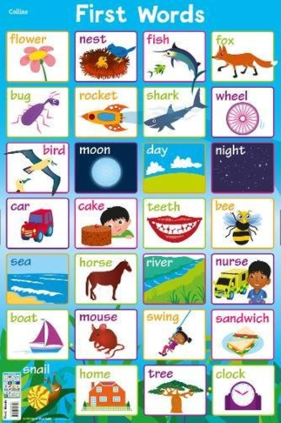 Бумажная книга «First Words», автор Стив Эванс - фото №1