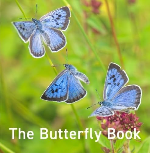 Паперова книга «The Butterfly Book», авторів Ендрю Фьюсек Пітерс, Джейн Расс - фото №1