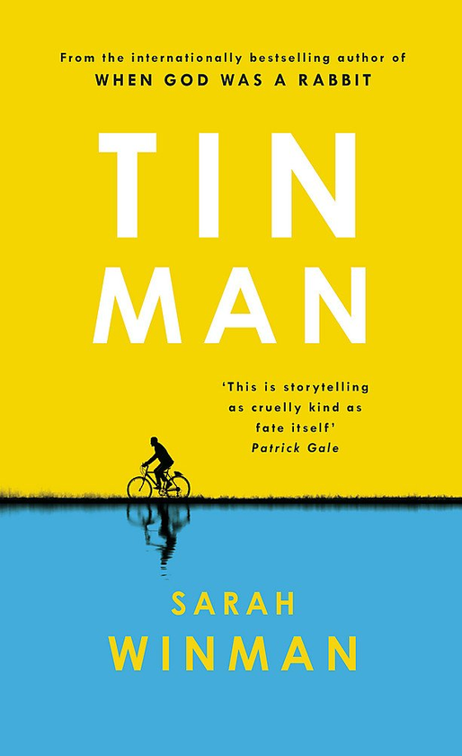 Бумажная книга «Tin Man», автор Сара Уинман - фото №1