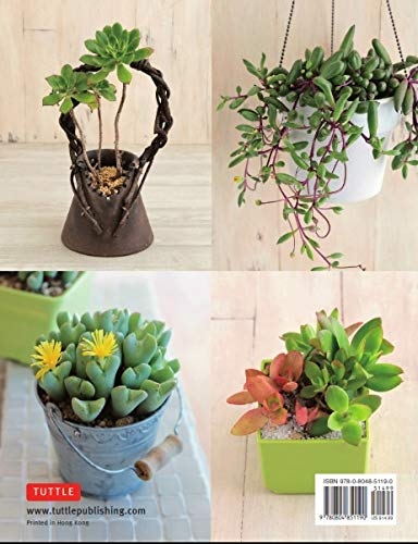 Паперова книга «A Beginner's Guide to Succulent Gardening», автор Таку Фуруя - фото №1