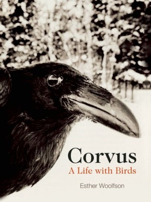Бумажная книга «Corvus : A Life With Birds», автор Эстер Вульфсон - фото №1