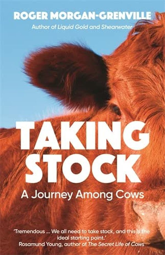 Паперова книга «Taking Stock», автор Роджер Морган-Гренвіль - фото №1