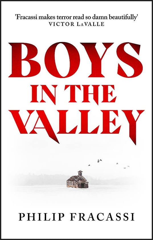 Паперова книга «Boys in the Valley», автор Філіп Фракасі - фото №1