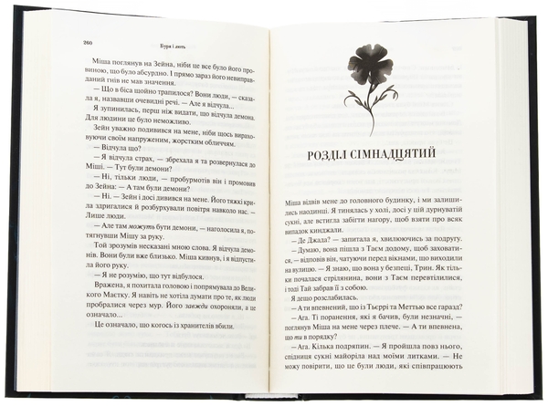 Паперова книга «Буря і лють. Книга 1», автор Дженніфер Л. Арментраут - фото №1