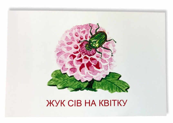 Бумажная книга «Розвиваюча гра Намальоване речення» - фото №1