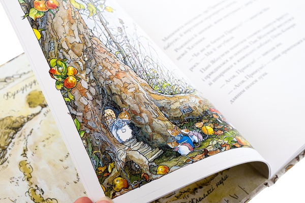 Бумажная книга «Ожиновий живопліт. Книга 3. Осіння історія», автор Джилл Барклем - фото №1