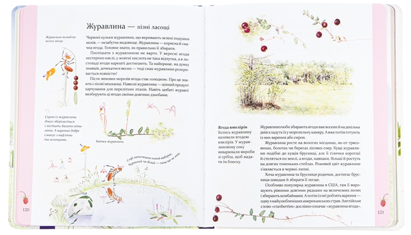 Бумажная книга «Експедиція з мурахою Софі», автор Стефан Каста - фото №1
