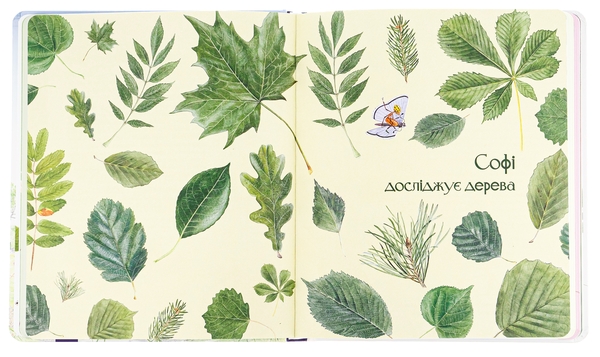 Бумажная книга «Експедиція з мурахою Софі», автор Стефан Каста - фото №1