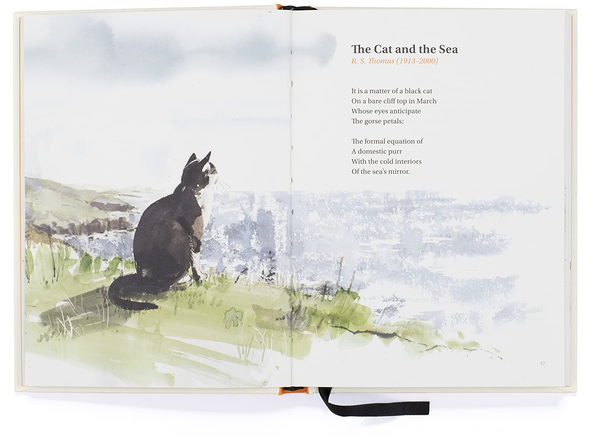 Бумажная книга «The Book of Cat Poems», автор Ана Сэмпсон - фото №1
