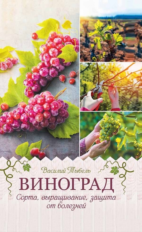 [object Object] «Виноград. Сорта, выращивание, защита от болезней», автор Василь Тибель - фото №1