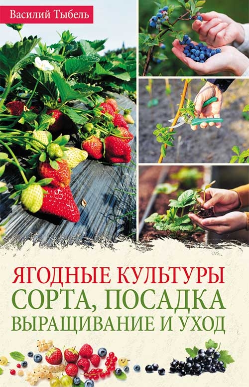 [object Object] «Ягодные культуры. Сорта, посадка, выращивание и уход», автор Василь Тибель - фото №1