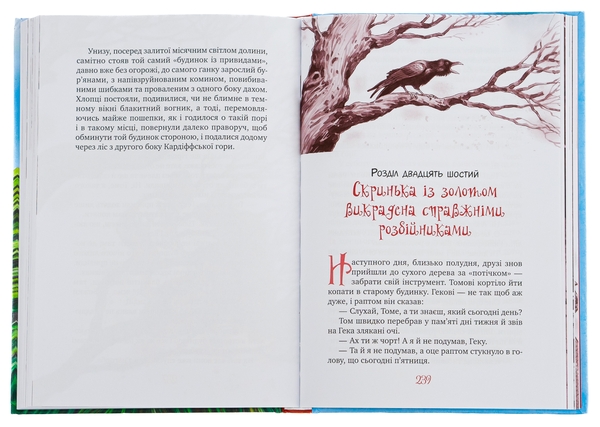 Бумажная книга «Пригоди Тома Соєра», автор Марк Твен - фото №1