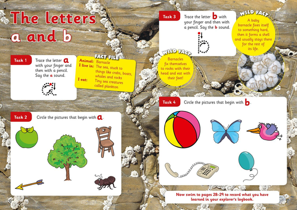 Бумажная книга «English - Alphabet Age 3-5» - фото №1