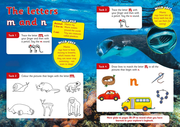 Бумажная книга «English - Alphabet Age 3-5» - фото №1
