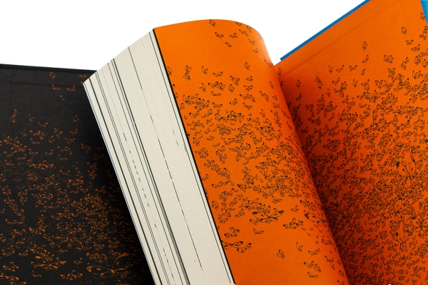 Бумажная книга «Голограф Веселкового поля», автор Инио Асано - фото №1