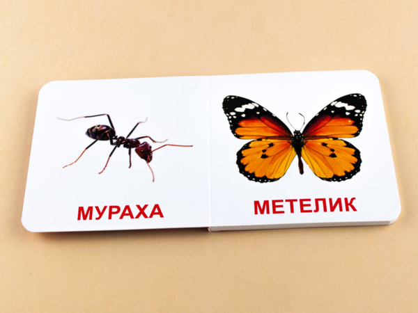 Бумажная книга «Комахи. Книжка для найменших» - фото №1
