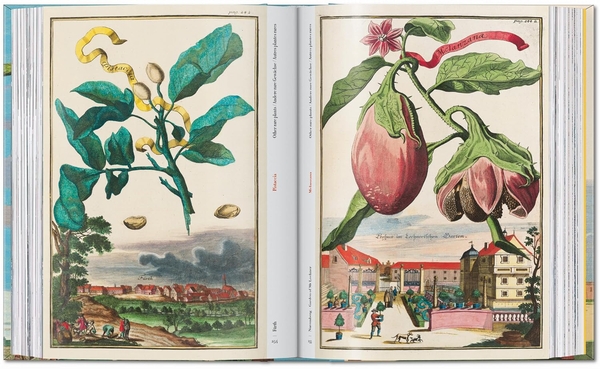 Бумажная книга «J. C. Volkamer. The Book of Citrus Fruits», автор Айрис Лаутербах - фото №1