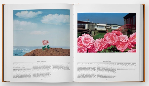 Бумажная книга «Flower: Exploring the World in Bloom», автор Редакторы "Phaidon" - фото №1