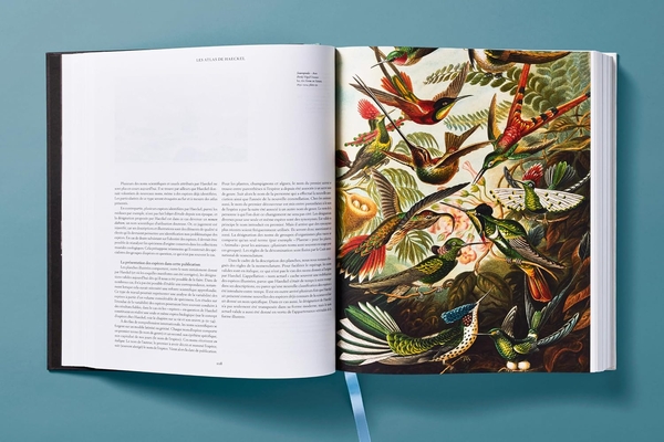 Paper book «The Art and Science of Ernst Haeckel», author Julia Voss - фото №1