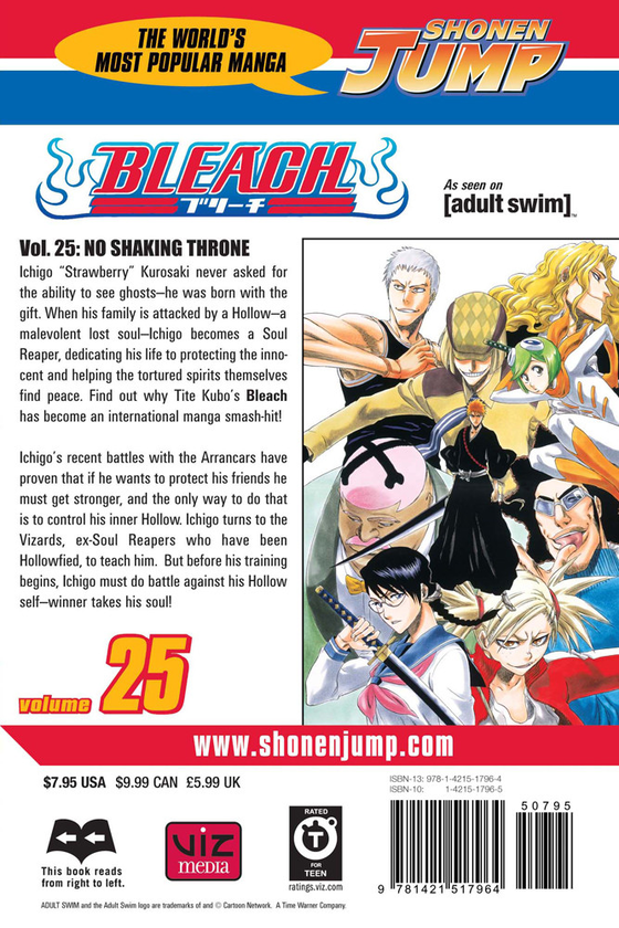 Паперова книга «Bleach. Volume 25», автор Тайто Кубо - фото №1