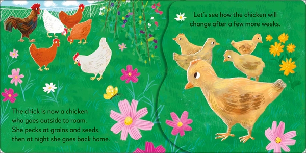 Паперова книга «Pop-up Peekaboo! Chick», автор DK (Dorling Kindersley) - фото №1