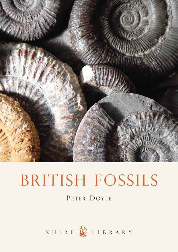 Бумажная книга «British Fossils», автор Питер Дойл - фото №1