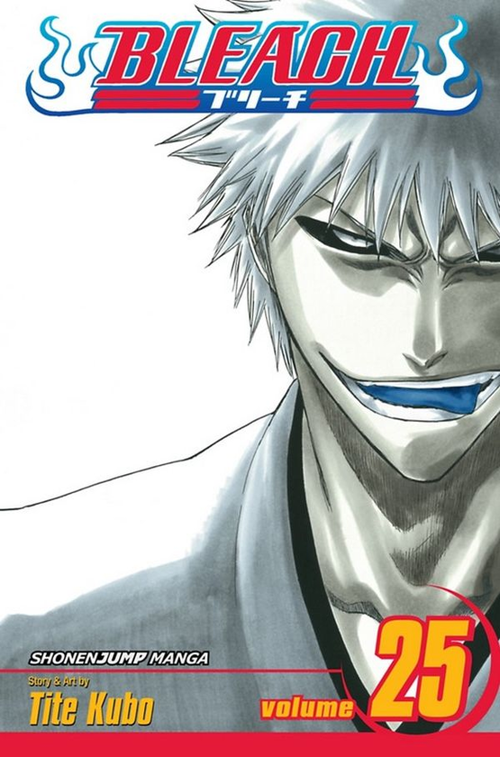 Паперова книга «Bleach. Volume 25», автор Тайто Кубо - фото №1