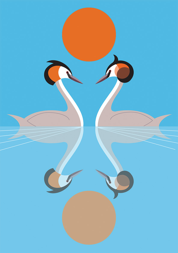 [object Object] «I Like Birds: Nesting Set of 2 Paperback Notebooks» - фото №1