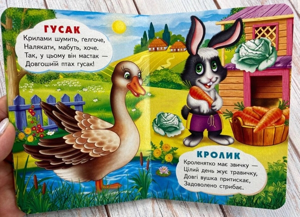 Бумажная книга «На селі. Про свійських тварин для найменших» - фото №1