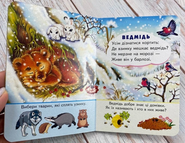 Бумажная книга «Хто де живе. Цікаве для найменших» - фото №1