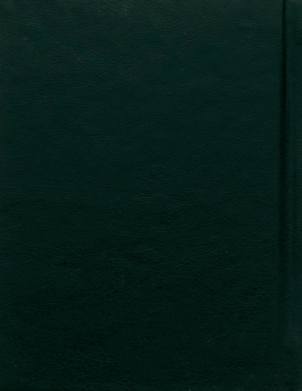 Бумажная книга «Квітка осіння», автор Владимир Сосюра - фото №1