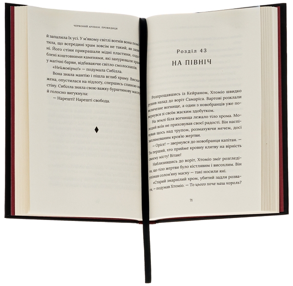 Паперова книга «Червоний Арлекін. Книга 5. Провидиця», автор Роберто Річчі - фото №1
