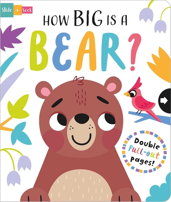 Бумажная книга «How Big is a Bear?», автор Лайза Риган - фото №1