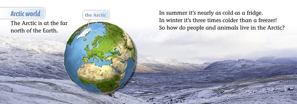 Паперова книга «Arctic Life», автор Шон Келлері - фото №1