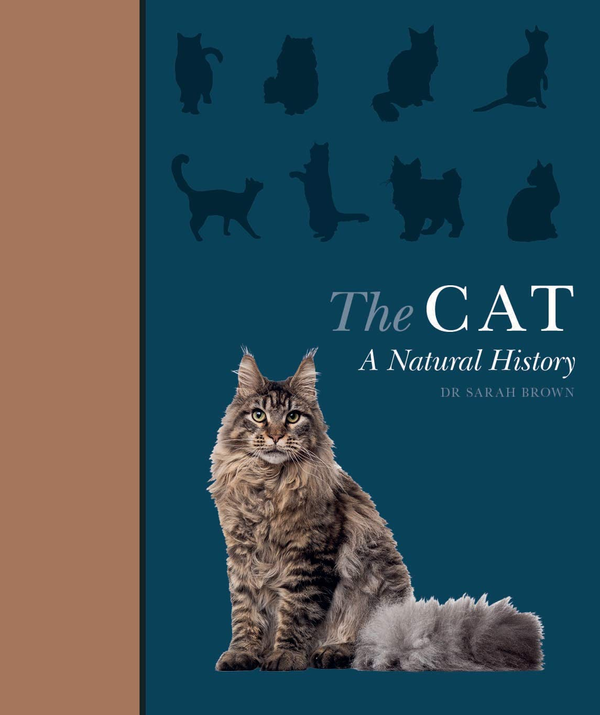 Паперова книга «The Cat. A Natural History», автор Сара Браун - фото №1