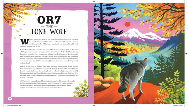 Бумажная книга «The Book of Animal Superheroes: Amazing True-Life Tales; Astounding Wildlife Facts», автор Камилла де ла Бедуайер - фото №1